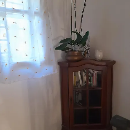 I Cuculi Vacation In ルッカ